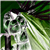:iconironstrom: