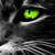 :iconironwingvi: