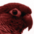 :iconirotiphotos: