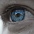 :iconirrevocable-prestige: