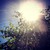 :iconirtschi111: