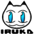 :iconIrukaBlue: