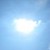 :iconirukami: