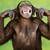 :iconirwenmonkey: