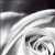:iconisabellas-flower: