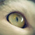 isabellatabacchi :iconisabellatabacchi: