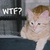 :iconisabelnight: