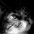 :iconisacandysweet: