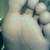 :iconisaw-on-sticks: