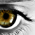 :iconIscarioth21: