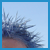 :iconiscott: