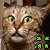 :iconisee4ch: