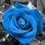 :iconiseekyou282: