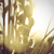 :iconiseethings: