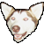 :iconiselen: