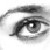:iconish-spot: