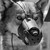 :iconishtarbabe: