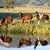 IshysdeArzhyel :iconishysdearzhyel: