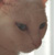 :iconisisface: