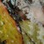 :iconisitinsilence: