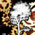 :iconislandforge: