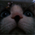 :iconislandi01:
