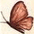 :iconisolatedfantasy15: