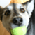 :iconison: