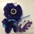 :iconisrafel03: