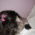 :iconisrcm: