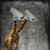 :iconissac-shnewton: