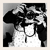 :iconistardust: