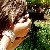 :iconisthiswhatyouwanted: