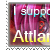 :iconisupportattlantic1: