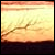 :iconit-came-from-emo: