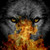 :iconitachi-on-fire:
