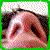 :iconitalogm: