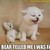 italyraspberryice :iconitalyraspberryice: