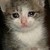 :iconItamiChan: