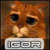 :iconiteam: