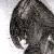 :iconITOstudios: