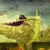 :iconitphotographer: