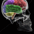 :iconits-adrian: