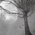 :iconits-alright: