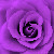 :iconIts-Kezzzzzzzzzz:
