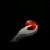 :iconits-me-kit:
