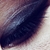 :iconitsafire: