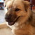 itsamouse :iconitsamouse:
