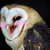 :iconitsjustartreally: