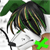:iconItsNickWinn:
